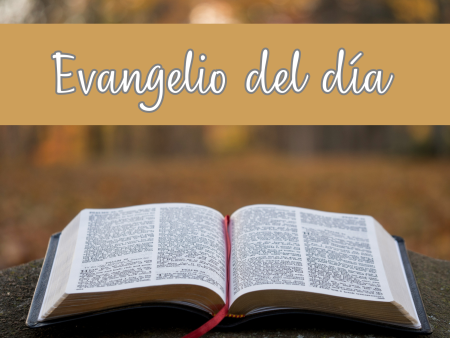 Evangelio del día
