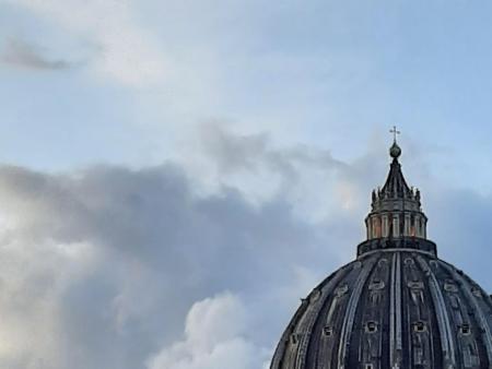 Debate de la Pontificia Academia para la Vida (PAV)